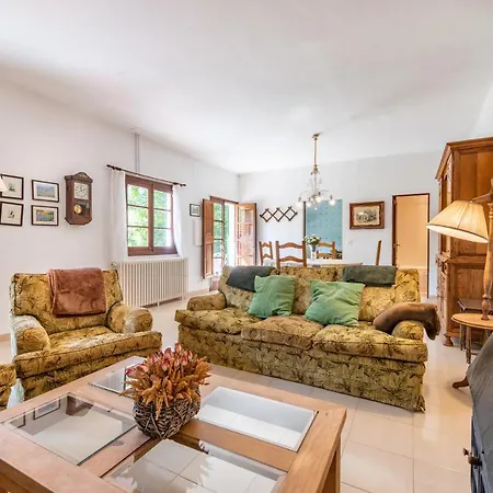 House Close To The Center, Large Flat Orchard And Pool. * Sóller