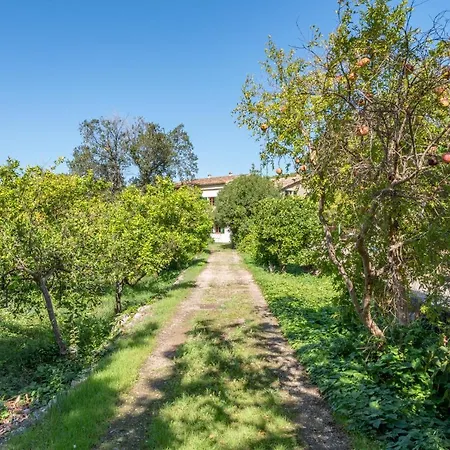 House Close To The Center, Large Flat Orchard And Pool. Dom wakacyjny Sóller