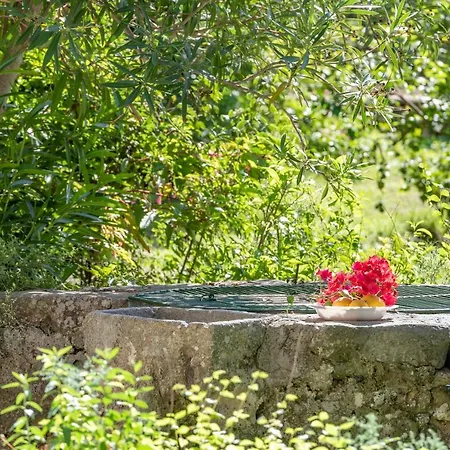 Dom wakacyjny House Close To The Center, Large Flat Orchard And Pool. *
